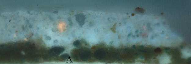 Photograph of pigment particles from a Walter Osborne forgery.